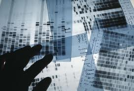 dna